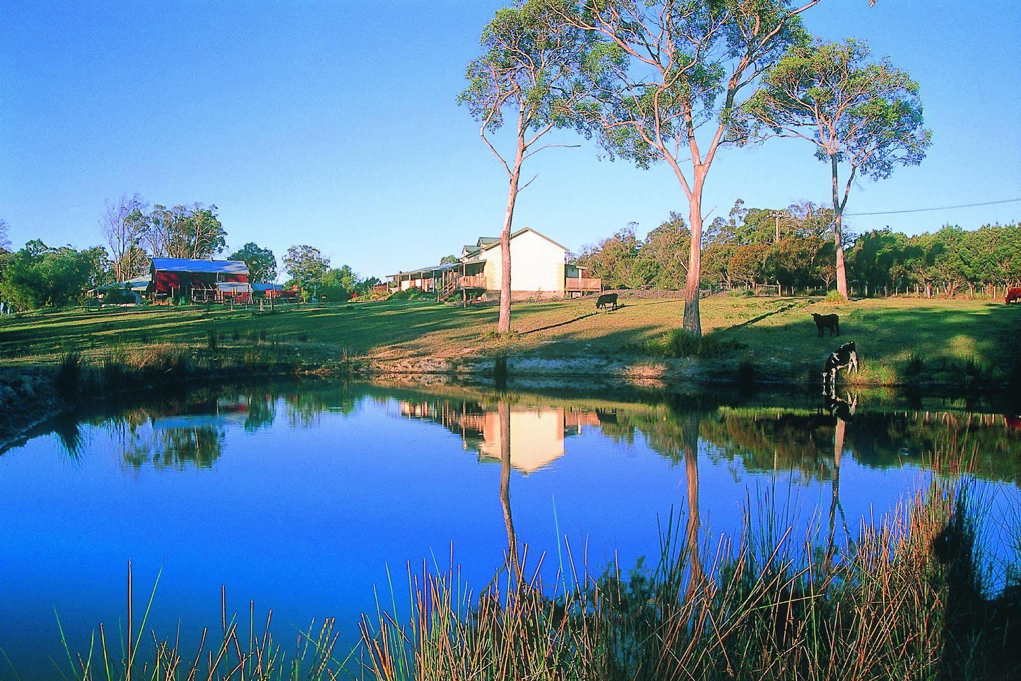 Villa Platypus Park Country Retreat à Bridport Extérieur photo