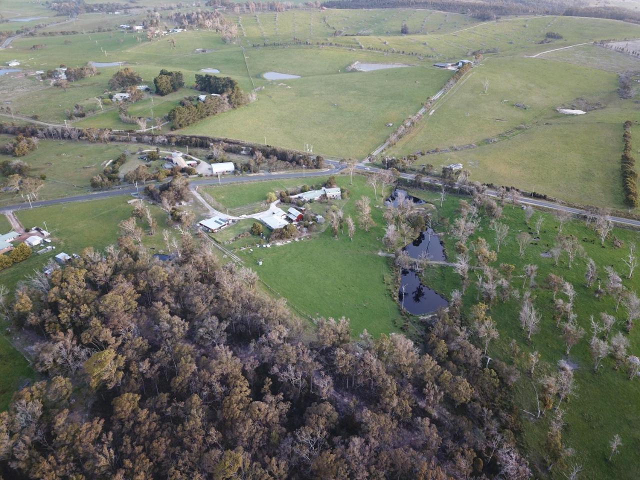 Villa Platypus Park Country Retreat à Bridport Extérieur photo